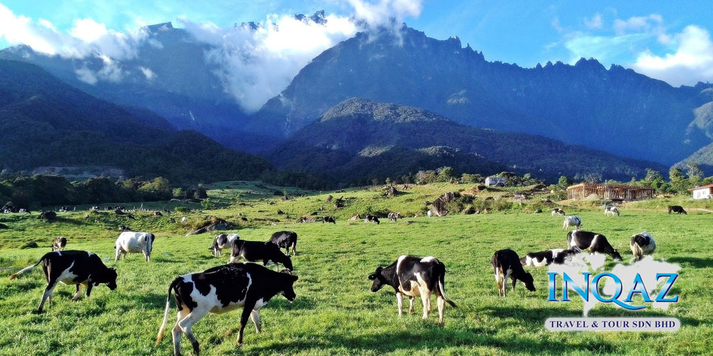 Promotion – KK – Kundasang 3H2M